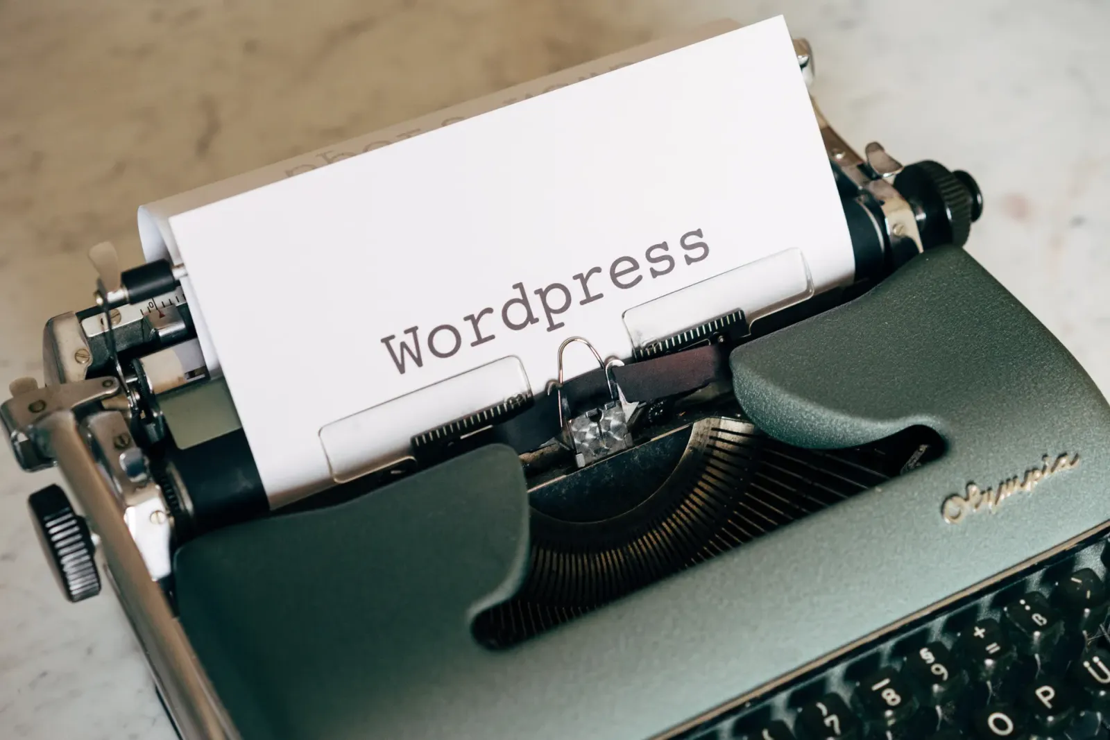WordPress Uzmanı CV Örneği