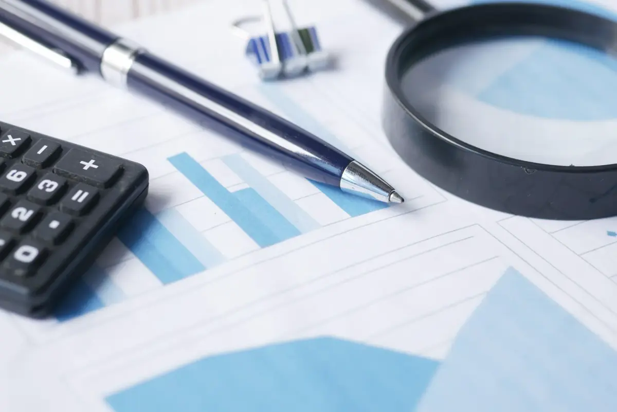 Masada duran finansal risk analiz raporu ve notlar