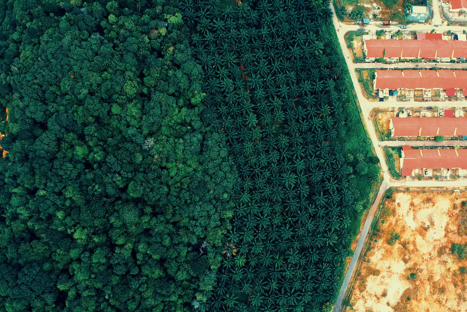 Köşe Yazarı vs Sunucu