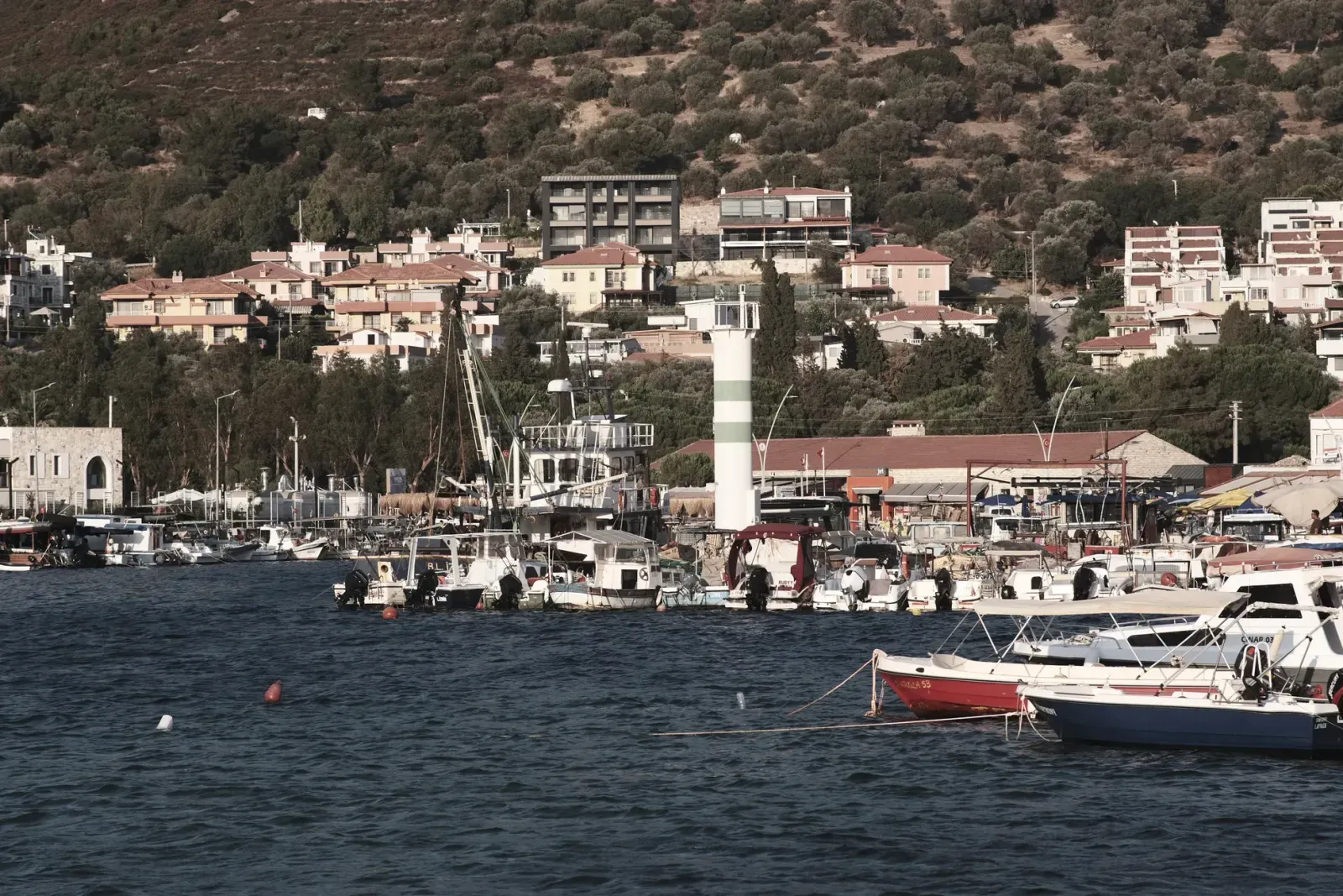 Foça’da En Çok Aranan Meslekler 2027