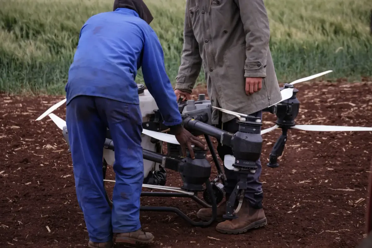 Tarım arazisinde drone ile ilaçlama yapan operatör