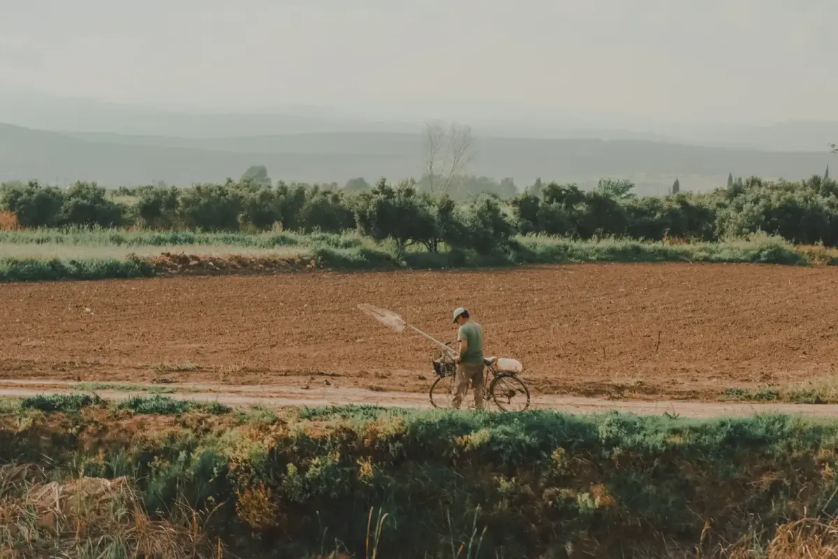 Modern tarım teknolojileriyle çalışan bir ziraat mühendisi