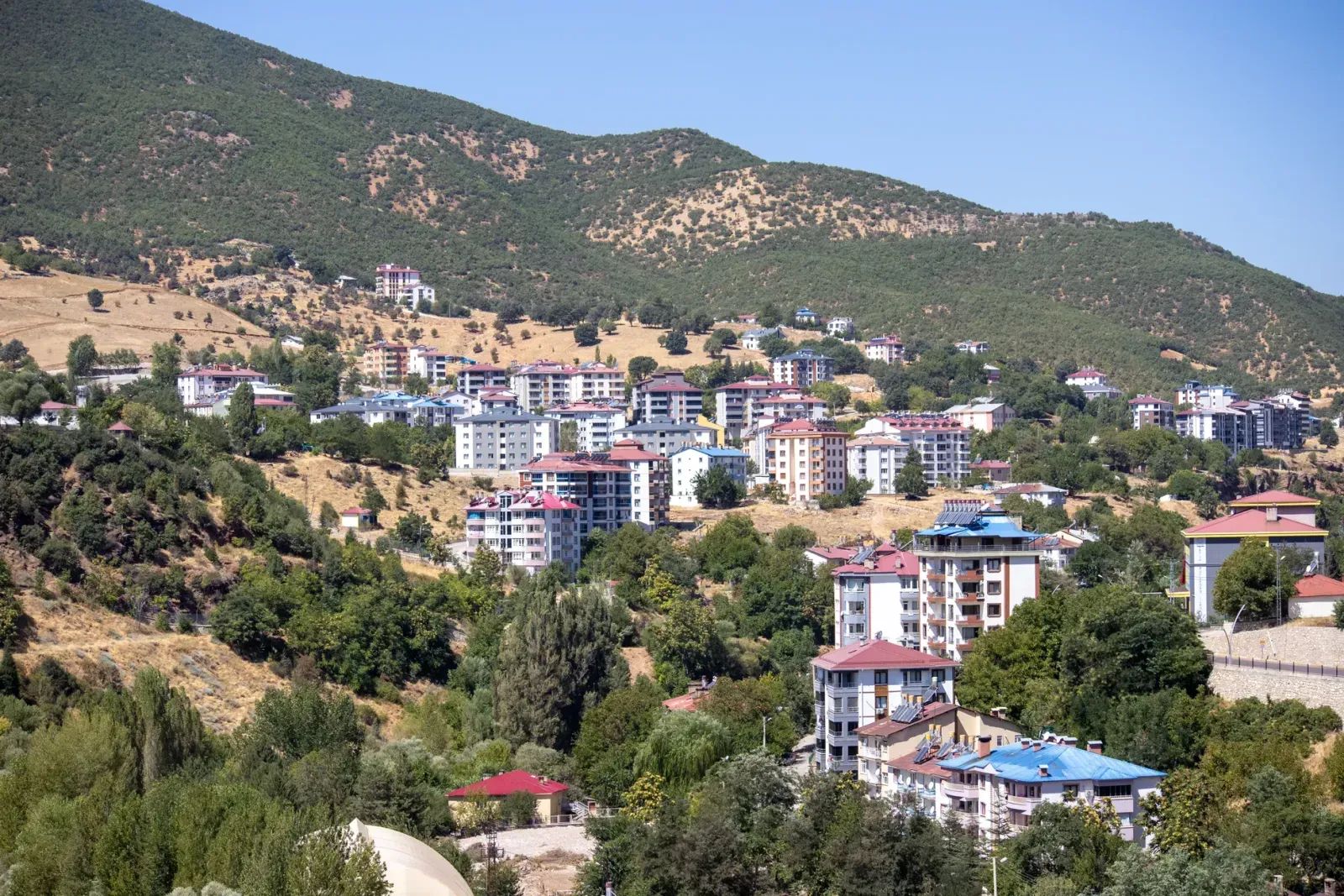 Seçim Paradoksu İş Aramada Nasıl Aşılır? Doğru Kararlar Alma Rehberi