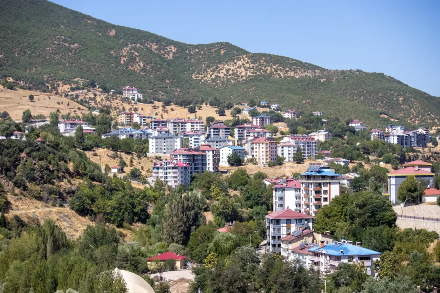 seçim paradoksu konulu blog yazısının kapak görseli